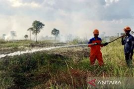 South Kalimantan strengthens strategy to handle forest and land fires