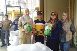 Demi swasembada pangan, Kementan kirim 16 ton benih ke Rejang Lebong