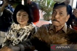 DEN nilai Presiden perlu dengar langsung kekhawatiran pasar