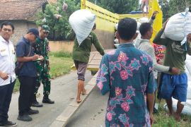 Bulog Kediri gandeng TNI dan Distan serap beras petani