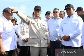 Mentan pastikan program cetak sawah di Kapuas berhasil untuk nasional