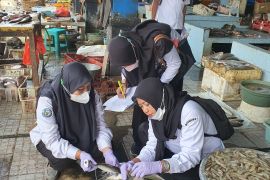 BPPMHKP Surabaya I pantau kualitas ikan jelang Lebaran