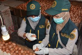 BKHIT Maluku lakukan pengawasan peredaran pangan jelang Idul Fitri