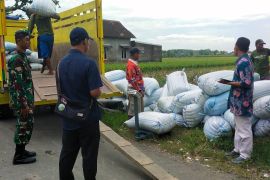 Bulog Kediri bentuk tim penjemput gabah