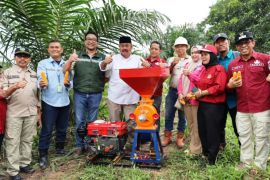 Pemkab Kukar  optimalisasi lahan sawah 7.600 ha di lima kawasan