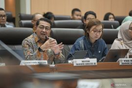 Teuku Riefky paparkan strategi pengembangan ekonomi kreatif