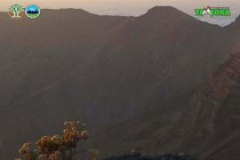 Taman Nasional Tambora telusuri jurnal internasional hasil penelitian ilegal