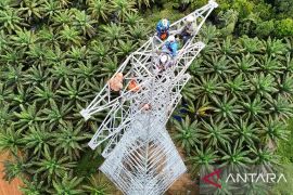 PLN kebut pembangunan SUTT 150 kV Tayan - Sandai wujudkan interkoneksi listrik Kalimantan