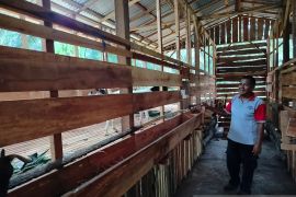 Pensiunan Polres Agam berternak kambing di kebun sawit motivasi warga