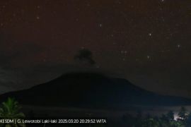Gunung Lewotobi Laki-laki kembali erupsi Kamis malam