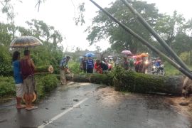 BPBD Jember imbau warga waspadai cuaca ekstrem selama sepekan