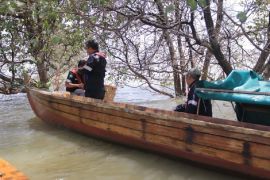 PT Timah lepasliarkan 1.100 kepiting di Kundur dan Karimun