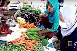 DKPP Madiun lakukan pengawasan bahan pangan asal hewan dan tumbuhan