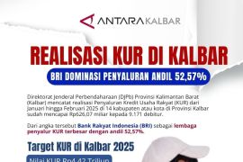 BRI dominasi penyaluran KUR di Kalbar