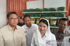 Wamendag minta pelaku usaha distribusikan bahan pokok sesuai ketentuan