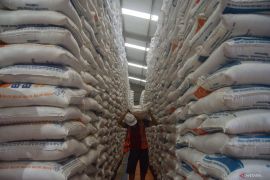 Di Ponorogo, Bulog mulai serap 8.700 ton gabah dan beras