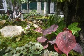 BRIN: Indonesia miliki potensi besar temukan spesies flora baru