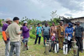 Dinkes Papua Barat kirim tim tangani lonjakan kasus malaria di Teluk Wondama