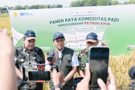 Pupuk Indonesia: Petroganik tingkatkan produktivitas padi di Blora