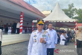 Gubernur sediakan layanan mudik gratis di seluruh wilayah Sultra