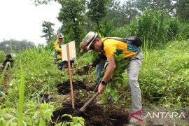 Produsen cat tanam lima ribu pohon di lereng Gunung Arjuno
