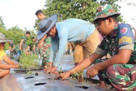 Lanud Silas Papare tanam cabai perkuat ketahanan pangan nasional