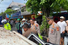 Seorang meninggal dunia di Kuta akibat pohon tumbang