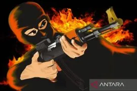 Kasatgas Damai Cartenz: Anggota KKB tembak dua anggota Brimob di Puncak Jaya