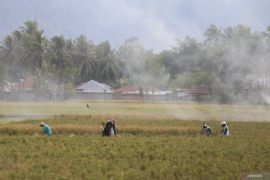 Pemkab Bone Bolango dukung program swasembada pangan