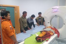 Akibat tertimpa pohon, satu korban di Jember terluka