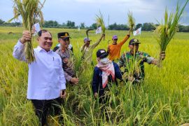 Komisi VII DPR RI apresiasi panen padi di Sidoarjo