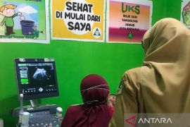 Banyuwangi libatkan dokter obgyn dan anak mengampu puskesmas