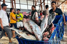 KKP catat 544 perusahaan pengolahan ikan tembus pasar ekspor ke China