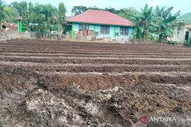 Mukomuko manfaatkan lahan 640 hektare untuk tanam padi gogo