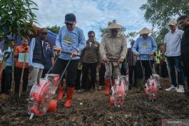 Minister promotes agroforestry skills for forest communities' growth