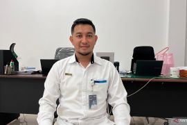 Perum Bulog Timika: Stok beras cukup hingga lima bulan ke depan