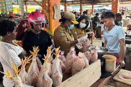 Pemkab Mimika melakukan sidak tempat penjualan daging