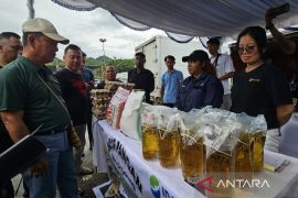 Pemprov Papua jamin peredaran MinyaKita sesuai takaran