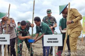 Pemprov-Kodam Kasuari tanam perdana padi gogo 200 hektare di Manokwari