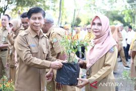 Kota Pontianak kembali canangkan gerakan tanam cabai