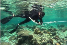 Pemprov Kaltim - YKAN kelola kawasan konservasi  secara kemitraan