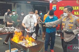 Polresta Sorong musnahkan barang bukti ganja seberat 6 kilogram