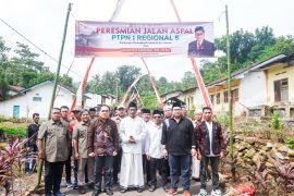 Perbaikan jalan aspal di Sumberbaru Jember berkat kolaborasi DPR dan PTPN