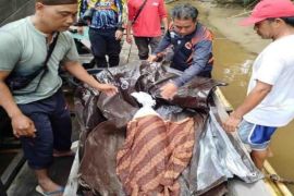 Alga, balita hilang di Sungai Barito Kabupaten Mura sudah ditemukan