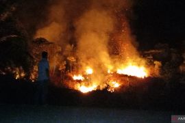 BPBD Aceh Barat pastikan kebakaran lahan di jalan lintas sudah padam