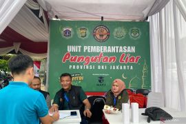 Tim Saber Pungli tindak oknum yang lakukan pungli di terminal