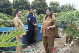 Pemkab Kapuas tata kembali BBI Sei Batang, buka peluang investasi