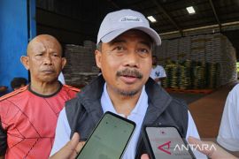 Bulog gelontorkan 1.651 ton beras kegiatan pasar murah di Papua