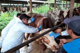 FMD control optimal ahead of Eid, Agriculture Ministry says