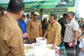 Bupati Penajam: Gapoktan panen 6,6 ton  per hektare dukung swasembada